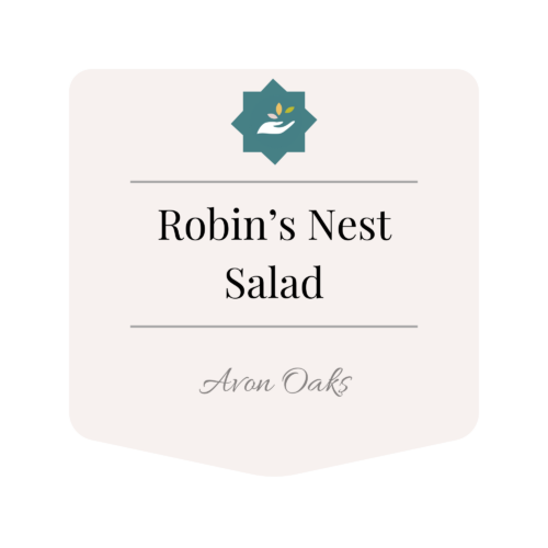 Robin's Nest Salad (no protein)
